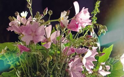 Una escapada romántica diferente por el norte de Extremadura