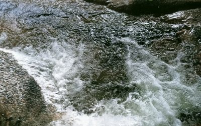 Naturaleza, sabor y alma en cada rincón