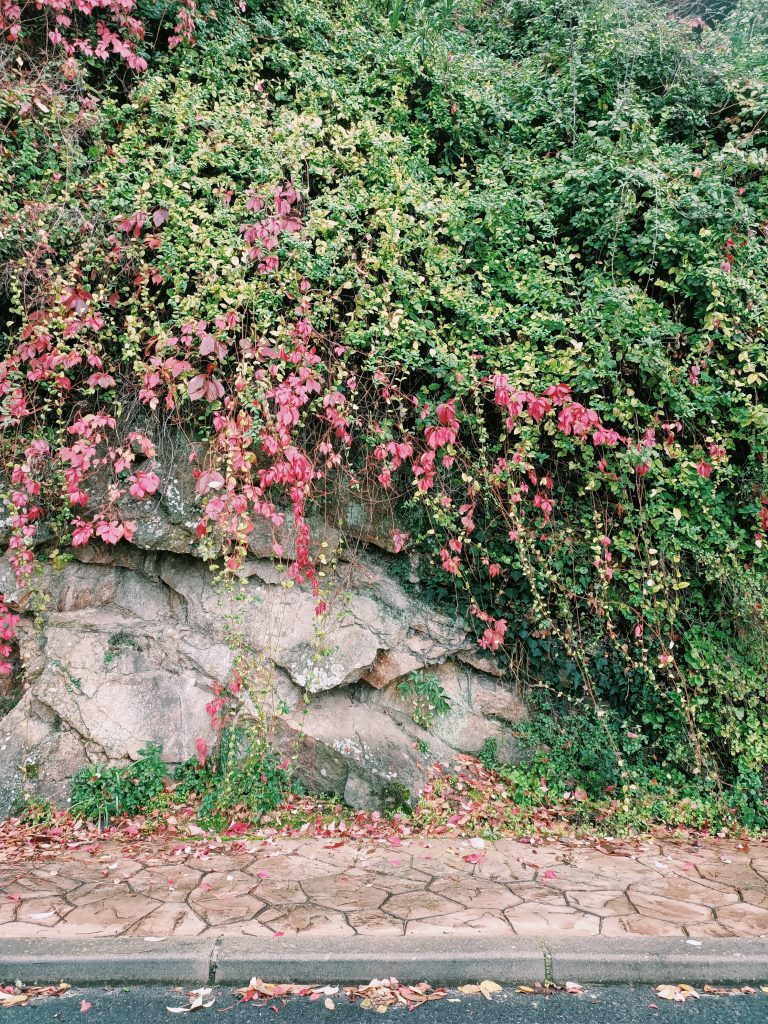 Una Escapada Rústica en un Mar de Colores Una Escapada Rústica en un Mar de Colores
